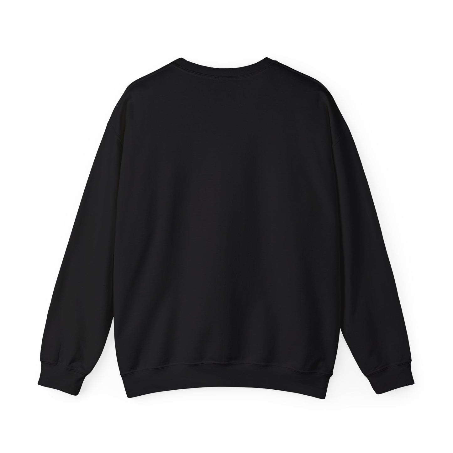 RADIEGO Surf Skate Glide Sweatshirt - Unisex Crewneck