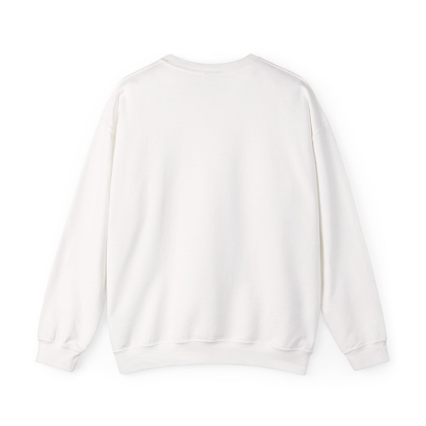 RADIEGO Surf Skate Glide Sweatshirt - Unisex Crewneck